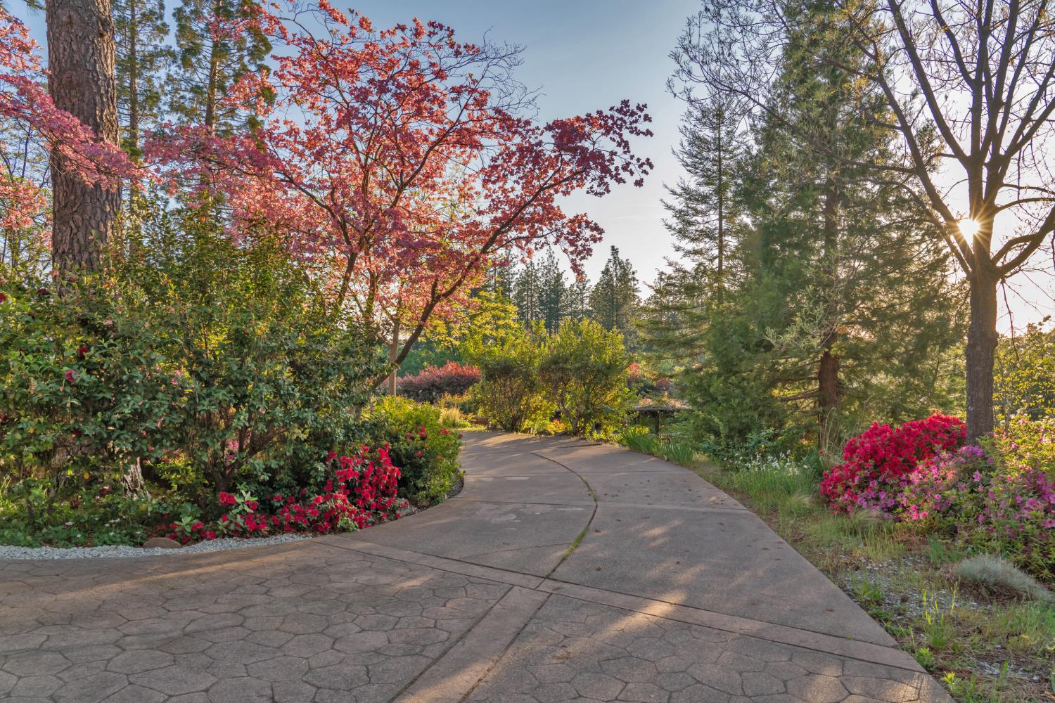 Placerville, California, 95667, United States, 3 Bedrooms Bedrooms, ,3 BathroomsBathrooms,Residential,Active,1834323