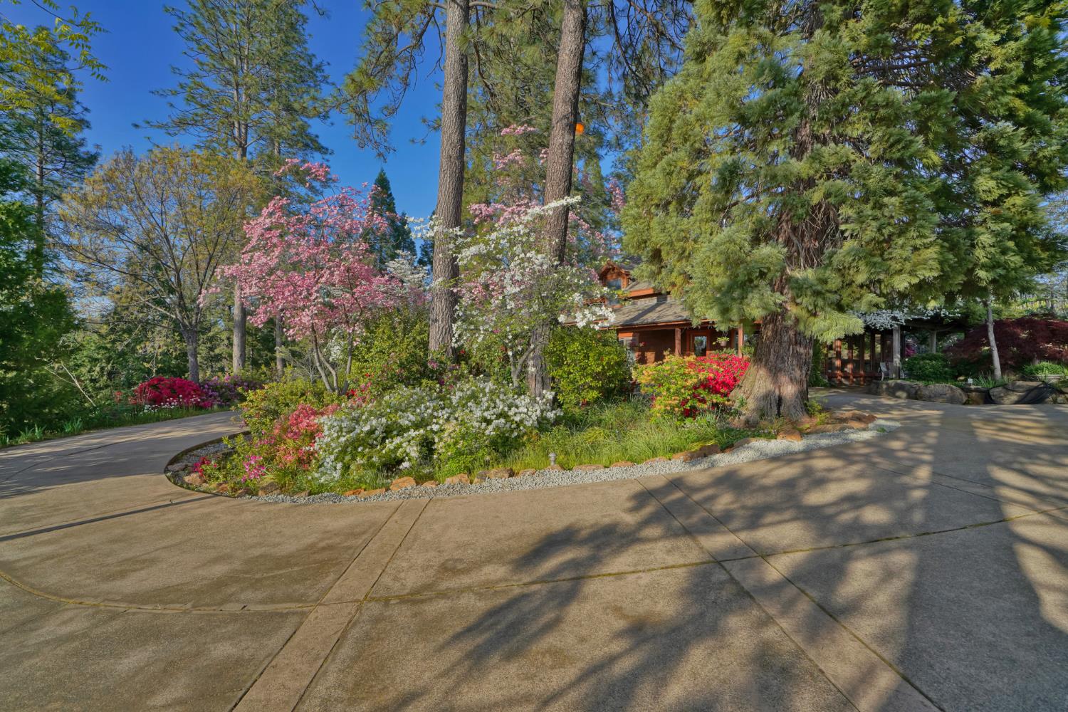 Placerville, California, 95667, United States, 3 Bedrooms Bedrooms, ,3 BathroomsBathrooms,Residential,Active,1834323