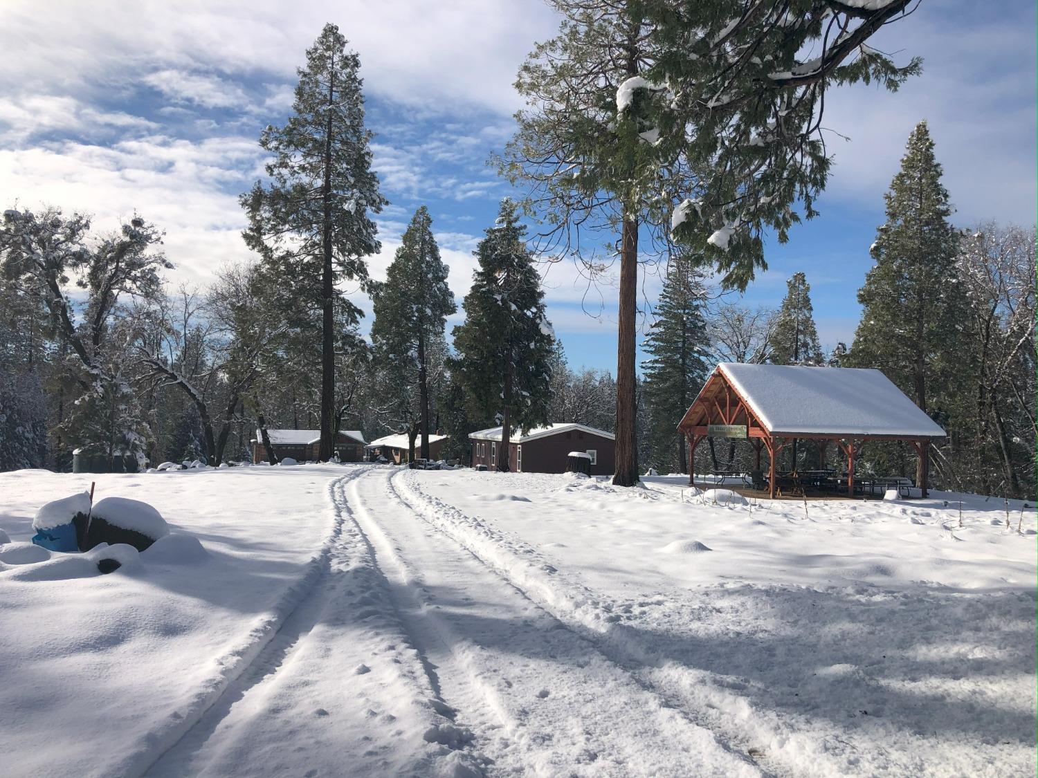 Pollock Pines, California, 95726, United States, 4 Bedrooms Bedrooms, ,3 BathroomsBathrooms,Residential,Active,1880012