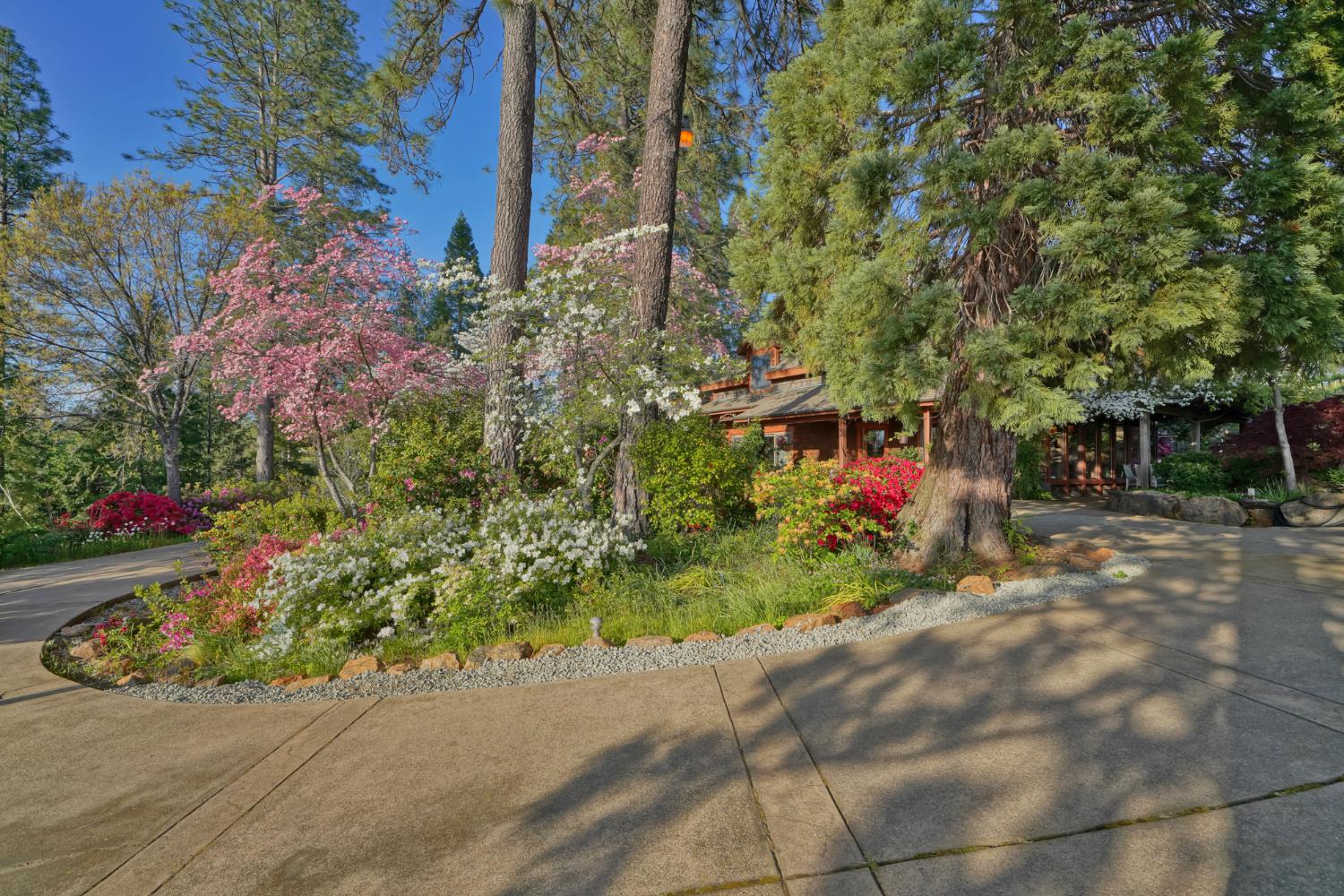 Placerville, California, 95667, United States, 3 Bedrooms Bedrooms, ,3 BathroomsBathrooms,Residential,Active,1834323