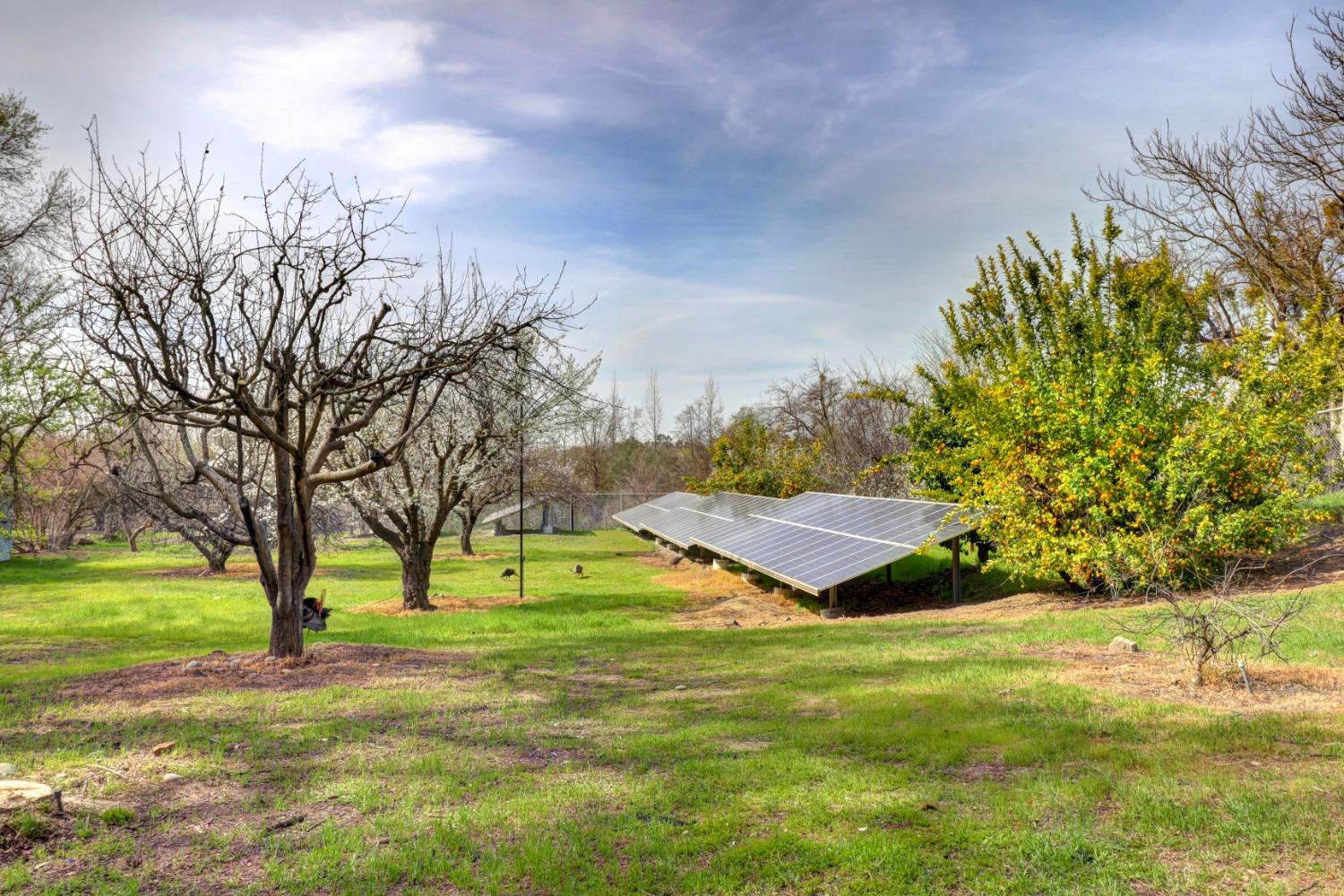 Sacramento, California, 95827, United States, 6 Bedrooms Bedrooms, ,7 BathroomsBathrooms,Residential,Active,1898041