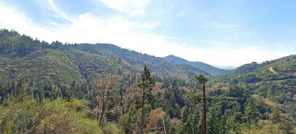 0 SAWPIT CREEK ROAD, CEDARPINES PARK, CA 92322 - Image 1