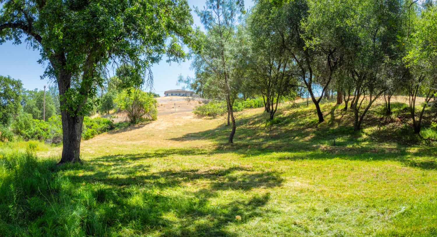 Shingle Springs, California, 95682, United States, ,4 BathroomsBathrooms,Residential,Active,1829887