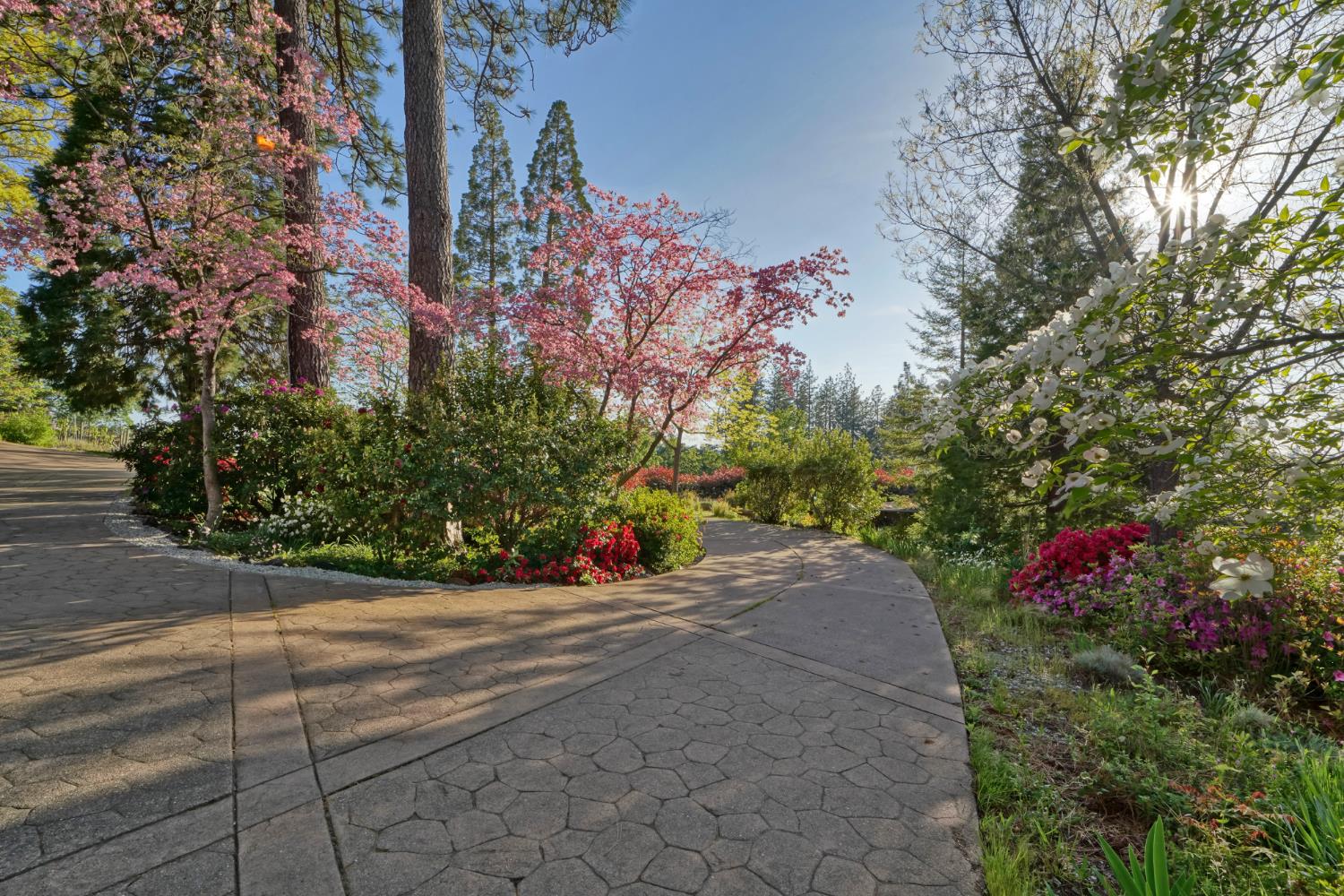 Placerville, California, 95667, United States, 3 Bedrooms Bedrooms, ,3 BathroomsBathrooms,Residential,Active,1834323