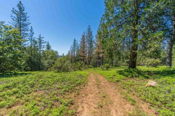 0 GOLD CREEK TRAIL, VOLCANO, CA 95689 - Image 1