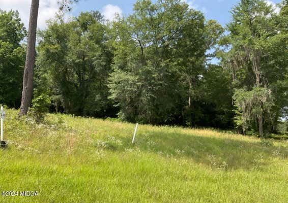 LOT 35 RIVER RIDGE DRIVE, HAWKINSVILLE, GA 31036 - Image 1