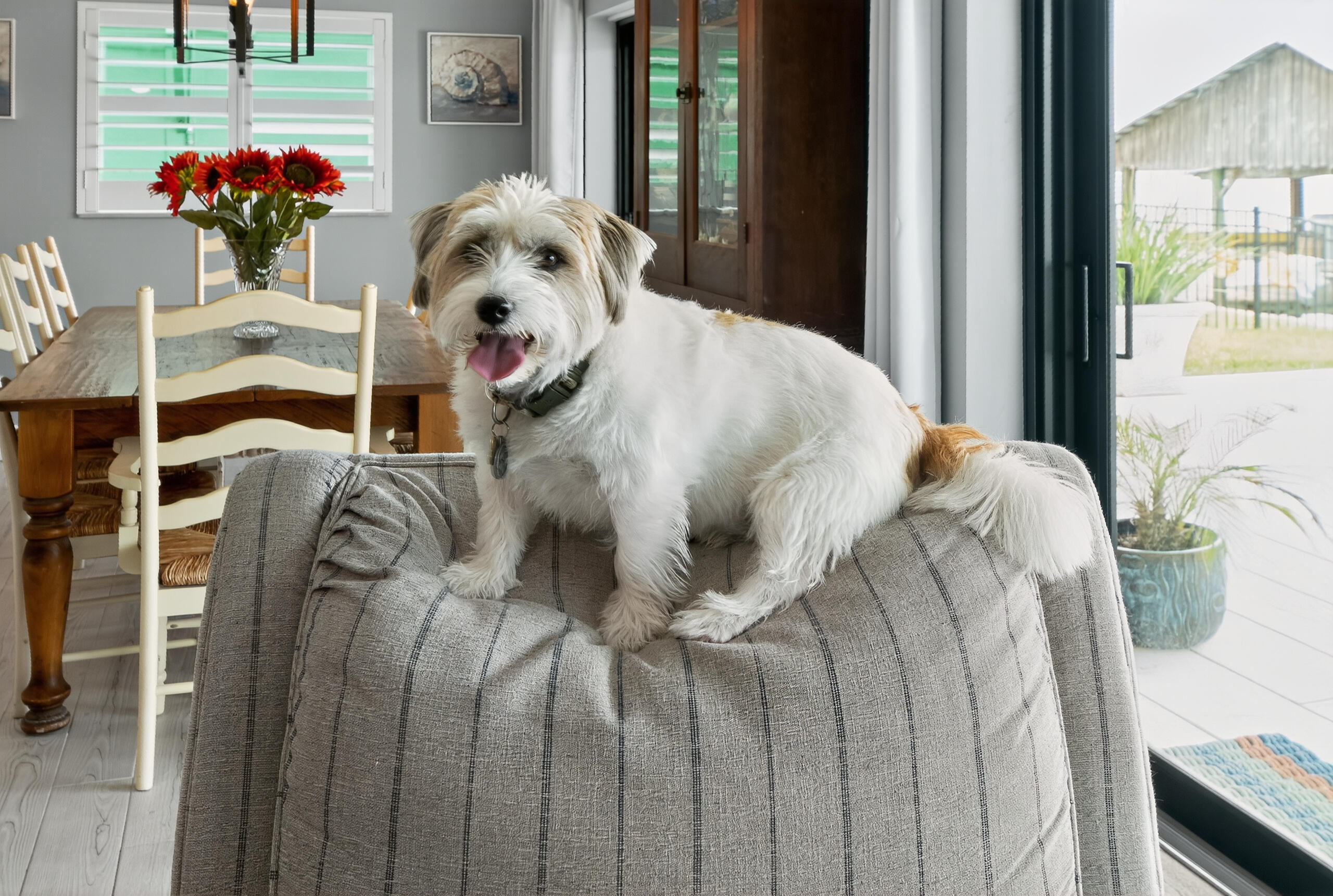 Naples, Florida, 34113, United States, 3 Bedrooms Bedrooms, ,3 BathroomsBathrooms,Residential,Active,2006908