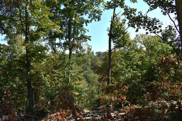 0 GOAT HOLLOW ESTATES LOT 1, MARTINSVILLE, IN 46151 - Image 1