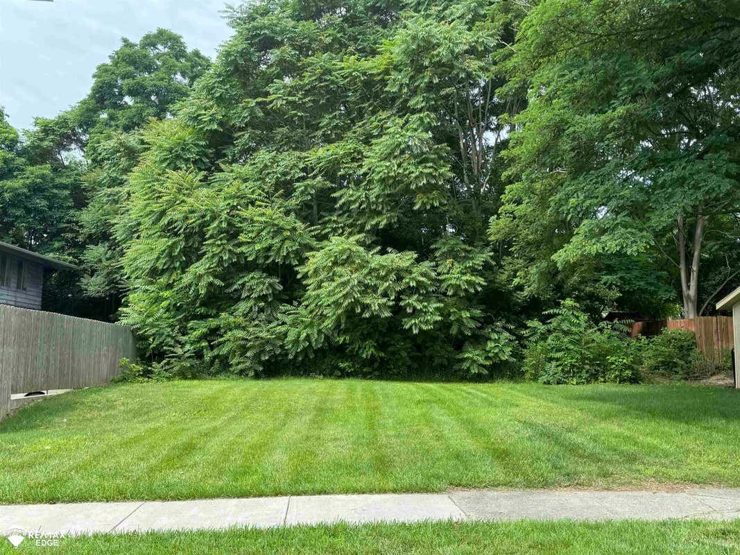 517 LYON ST, FLINT, MI 48503 Vacant Land For Sale | MLS# 50147197 | RE/MAX