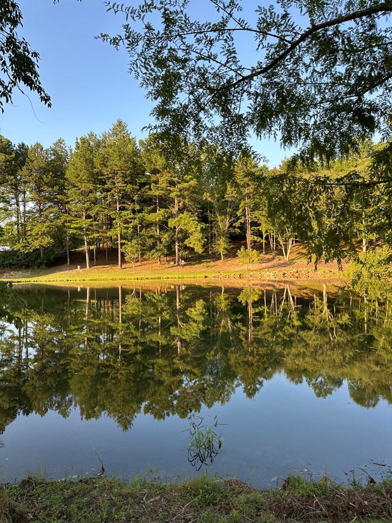 Warne, North Carolina, 28909, United States, 5 Bedrooms Bedrooms, ,6 BathroomsBathrooms,Residential,Active,1968111