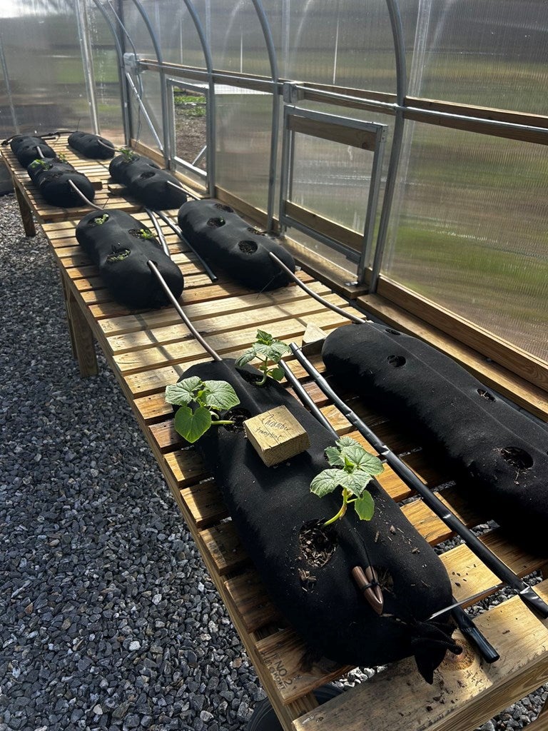 Warne, North Carolina, 28909, United States, 5 Bedrooms Bedrooms, ,6 BathroomsBathrooms,Residential,Active,1968111