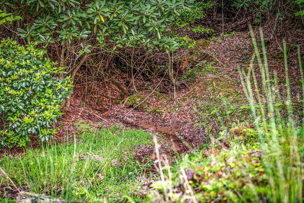 Brasstown, North Carolina, 28902, United States, 4 Bedrooms Bedrooms, ,5 BathroomsBathrooms,Residential,Active,1808288