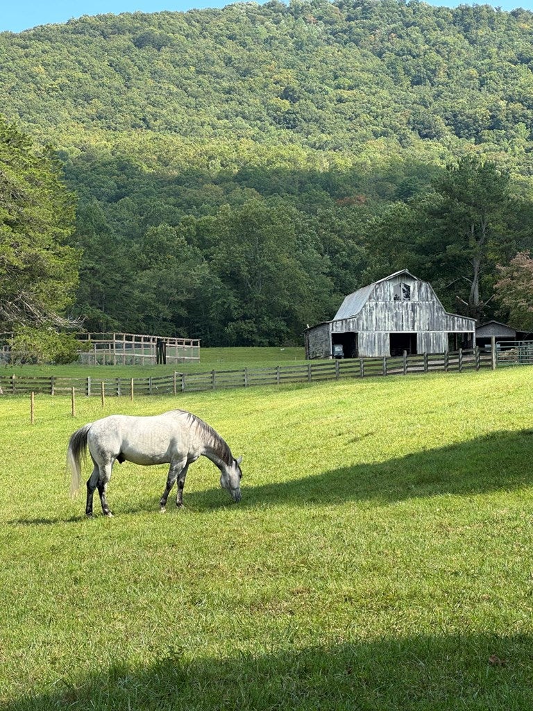 Warne, North Carolina, 28909, United States, 5 Bedrooms Bedrooms, ,6 BathroomsBathrooms,Residential,Active,1968111