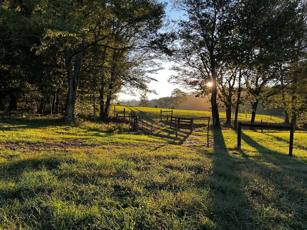 Warne, North Carolina, 28909, United States, 5 Bedrooms Bedrooms, ,6 BathroomsBathrooms,Residential,Active,1968111