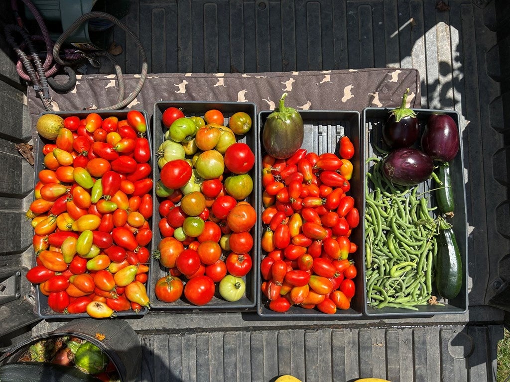 Warne, North Carolina, 28909, United States, 5 Bedrooms Bedrooms, ,6 BathroomsBathrooms,Residential,Active,1968111