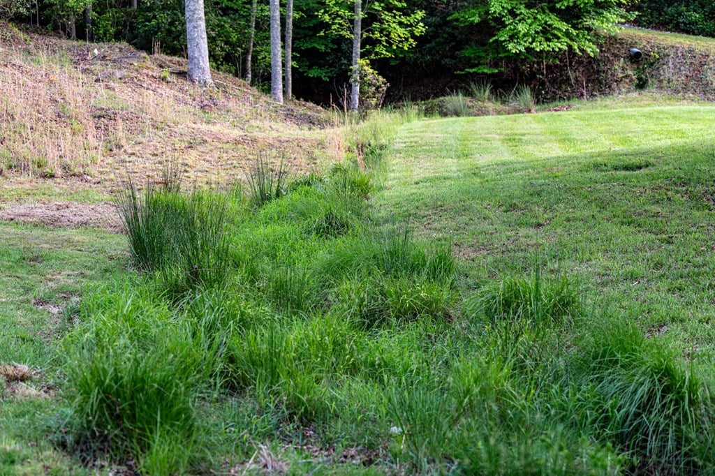 Brasstown, North Carolina, 28902, United States, 4 Bedrooms Bedrooms, ,5 BathroomsBathrooms,Residential,Active,1808288