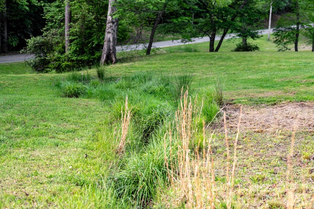 Brasstown, North Carolina, 28902, United States, 4 Bedrooms Bedrooms, ,5 BathroomsBathrooms,Residential,Active,1808288