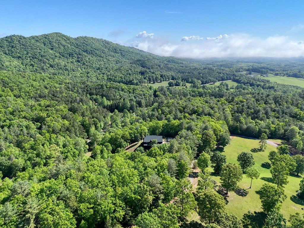 Brasstown, North Carolina, 28902, United States, 4 Bedrooms Bedrooms, ,5 BathroomsBathrooms,Residential,Active,1808288