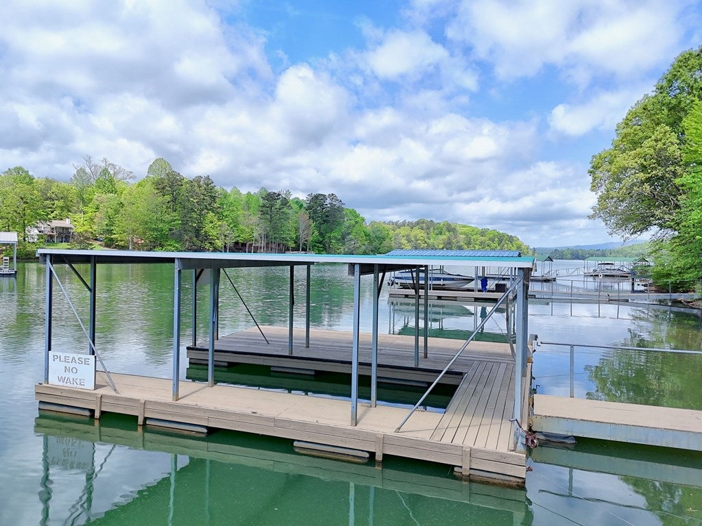 Hiawassee, Georgia, 30546, United States, ,3 BathroomsBathrooms,Residential,Active,1790284