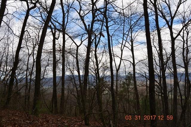 Murphy, North Carolina, 28906, United States, 1 Bedroom Bedrooms, ,1 BathroomBathrooms,Residential,Active,1772738