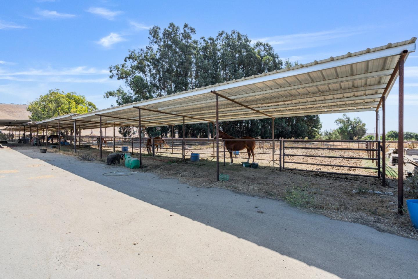 Hollister, California, 95023, United States, 4 Bedrooms Bedrooms, ,4 BathroomsBathrooms,Residential,Active,1943799