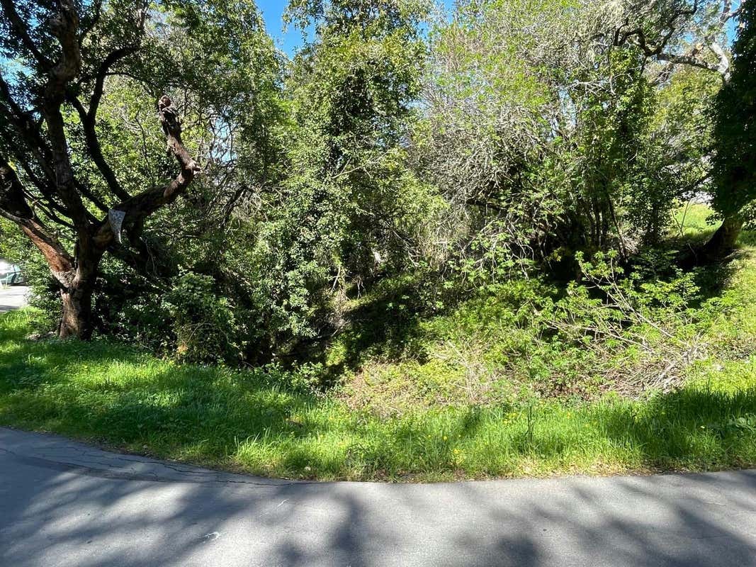 0 CUESTA REAL, LA HONDA, CA 94020, photo 1 of 2