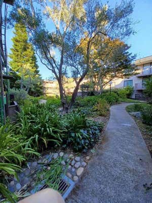 3213 SHELTER CREEK LN, SAN BRUNO, CA 94066 - Image 1