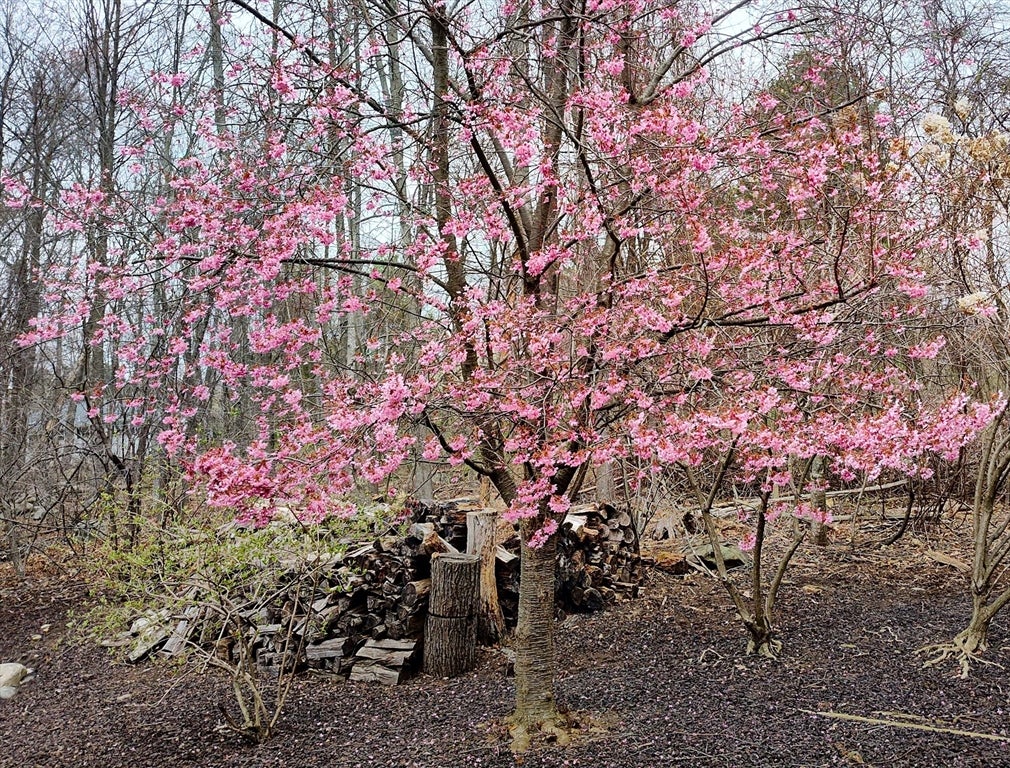 Shrewsbury, Massachusetts, 01545, United States, 4 Bedrooms Bedrooms, ,5 BathroomsBathrooms,Residential,Active,1968373