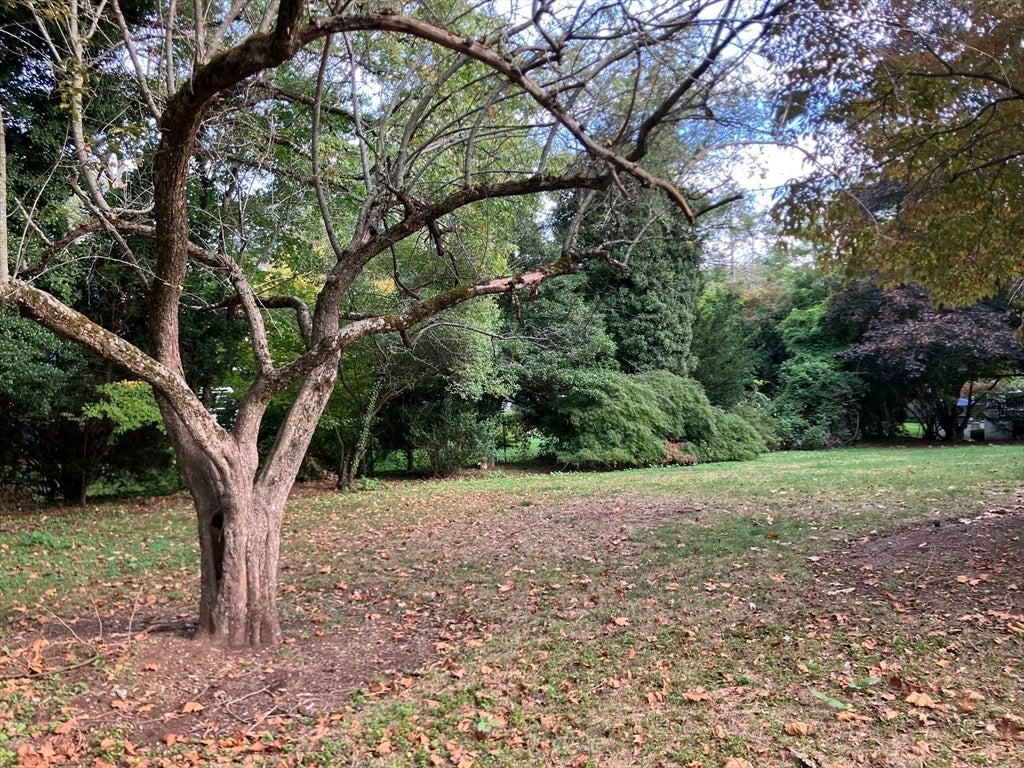 Brookline, Massachusetts, 02467, United States, 4 Bedrooms Bedrooms, ,5 BathroomsBathrooms,Residential,Active,1960135