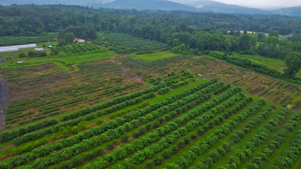 Westfield, Massachusetts, 01085, United States, ,4 BathroomsBathrooms,Residential,Active,1862838