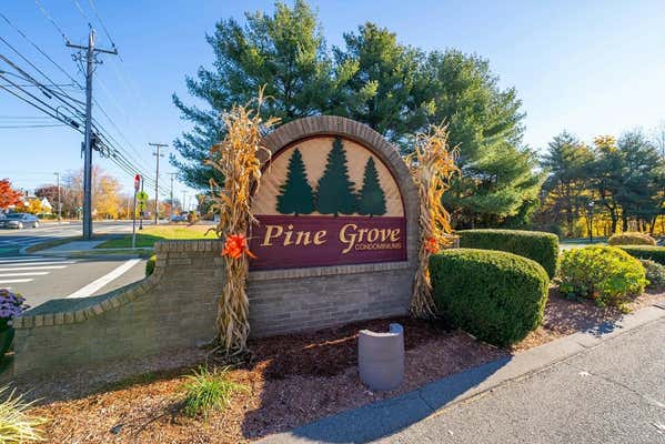 35 PINE GROVE DR # 35, SOUTH HADLEY, MA 01075 - Image 1