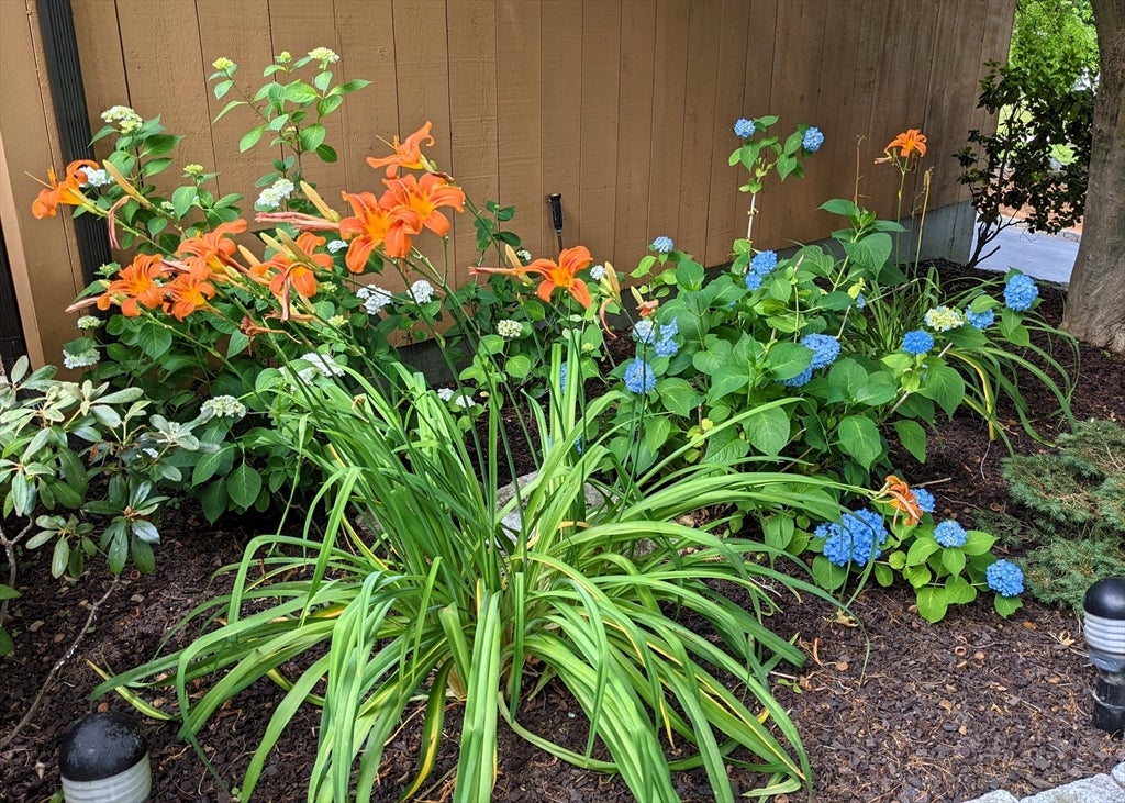 Shrewsbury, Massachusetts, 01545, United States, 4 Bedrooms Bedrooms, ,5 BathroomsBathrooms,Residential,Active,1968373