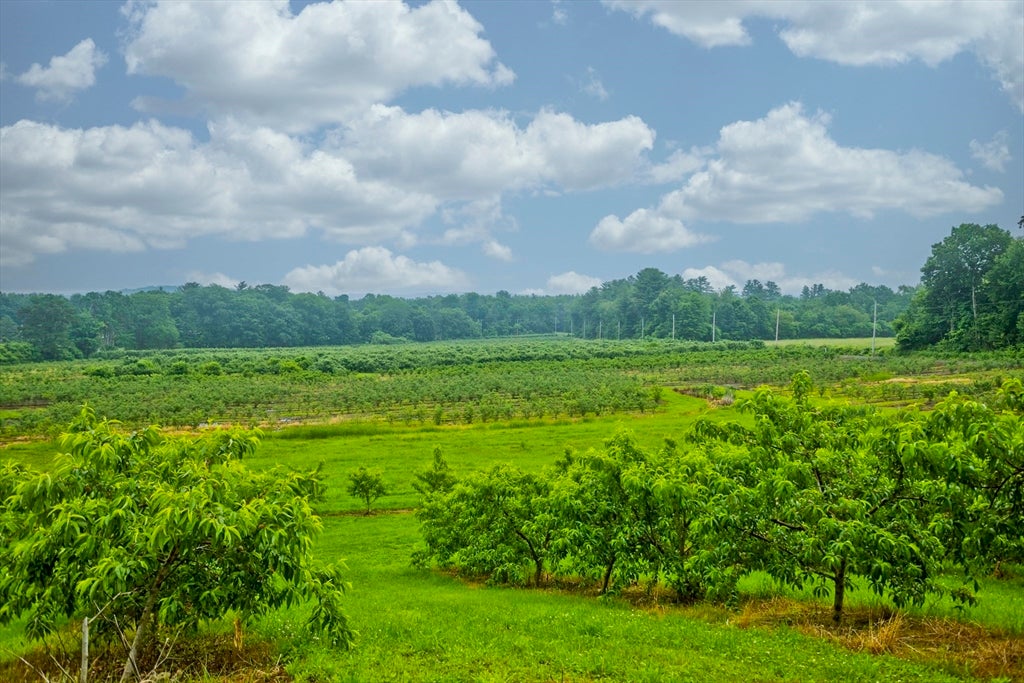 Westfield, Massachusetts, 01085, United States, ,4 BathroomsBathrooms,Residential,Active,1862838