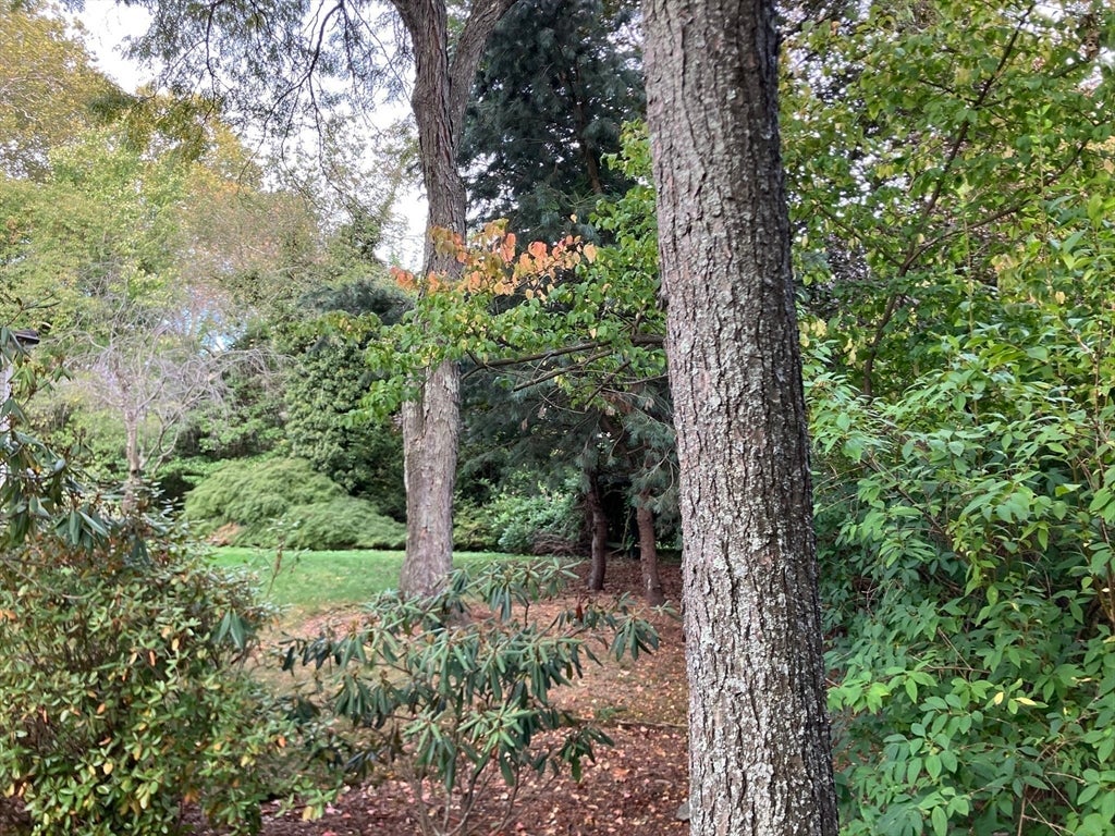 Brookline, Massachusetts, 02467, United States, 4 Bedrooms Bedrooms, ,5 BathroomsBathrooms,Residential,Active,1960135