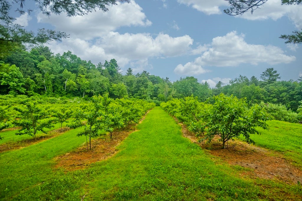 Westfield, Massachusetts, 01085, United States, ,4 BathroomsBathrooms,Residential,Active,1862838