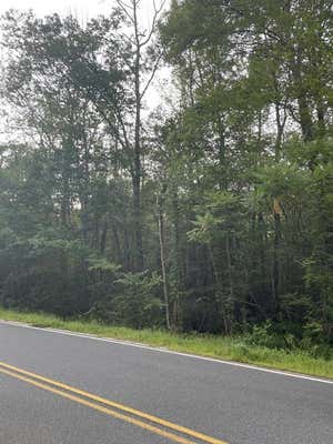 0 RUSSELL STAGE RD, BLANDFORD, MA 01008 - Image 1