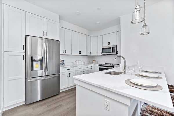 64 ALPINE ST # 302, BOSTON, MA 02119 - Image 1