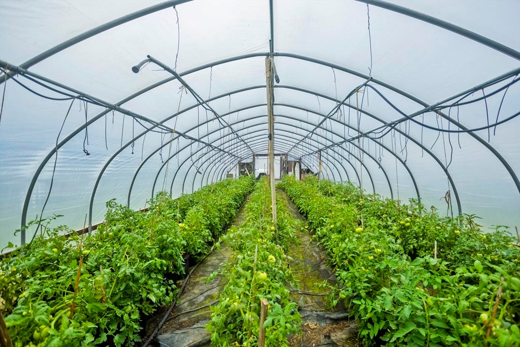 Westfield, Massachusetts, 01085, United States, ,4 BathroomsBathrooms,Residential,Active,1862838