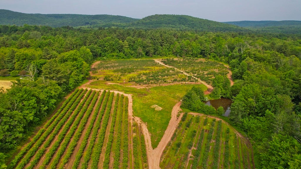 Westfield, Massachusetts, 01085, United States, ,4 BathroomsBathrooms,Residential,Active,1862838