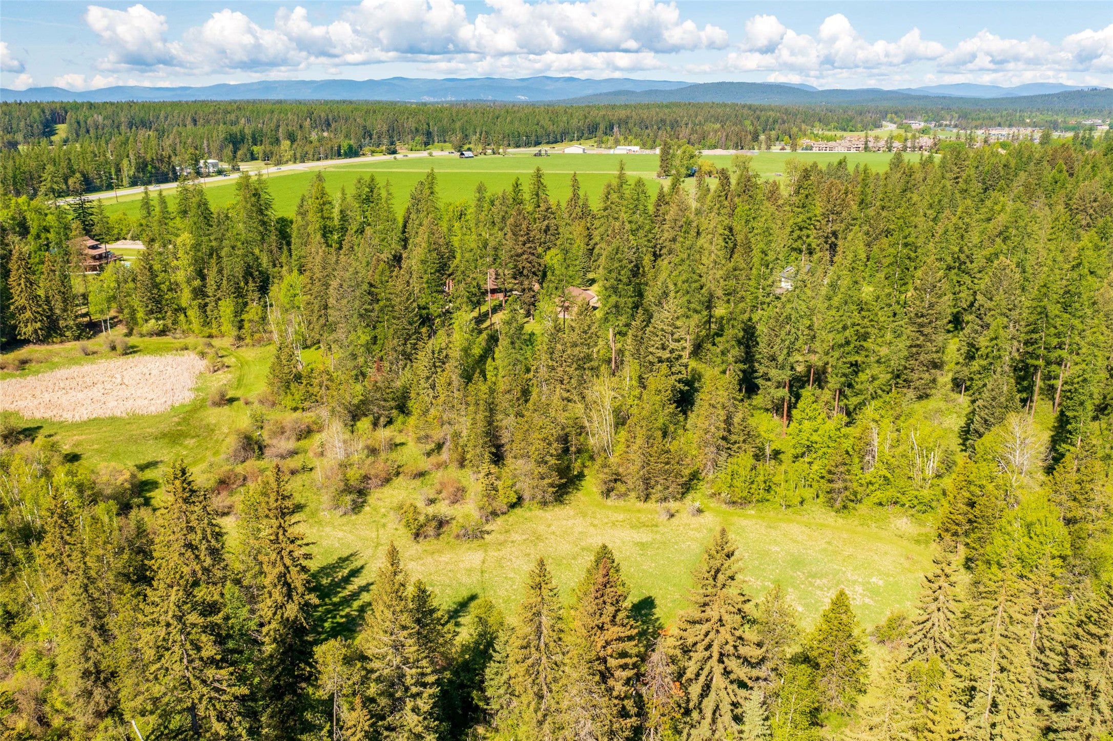 Columbia Falls, Montana, 59912, United States, ,3 BathroomsBathrooms,Residential,Active,1841309