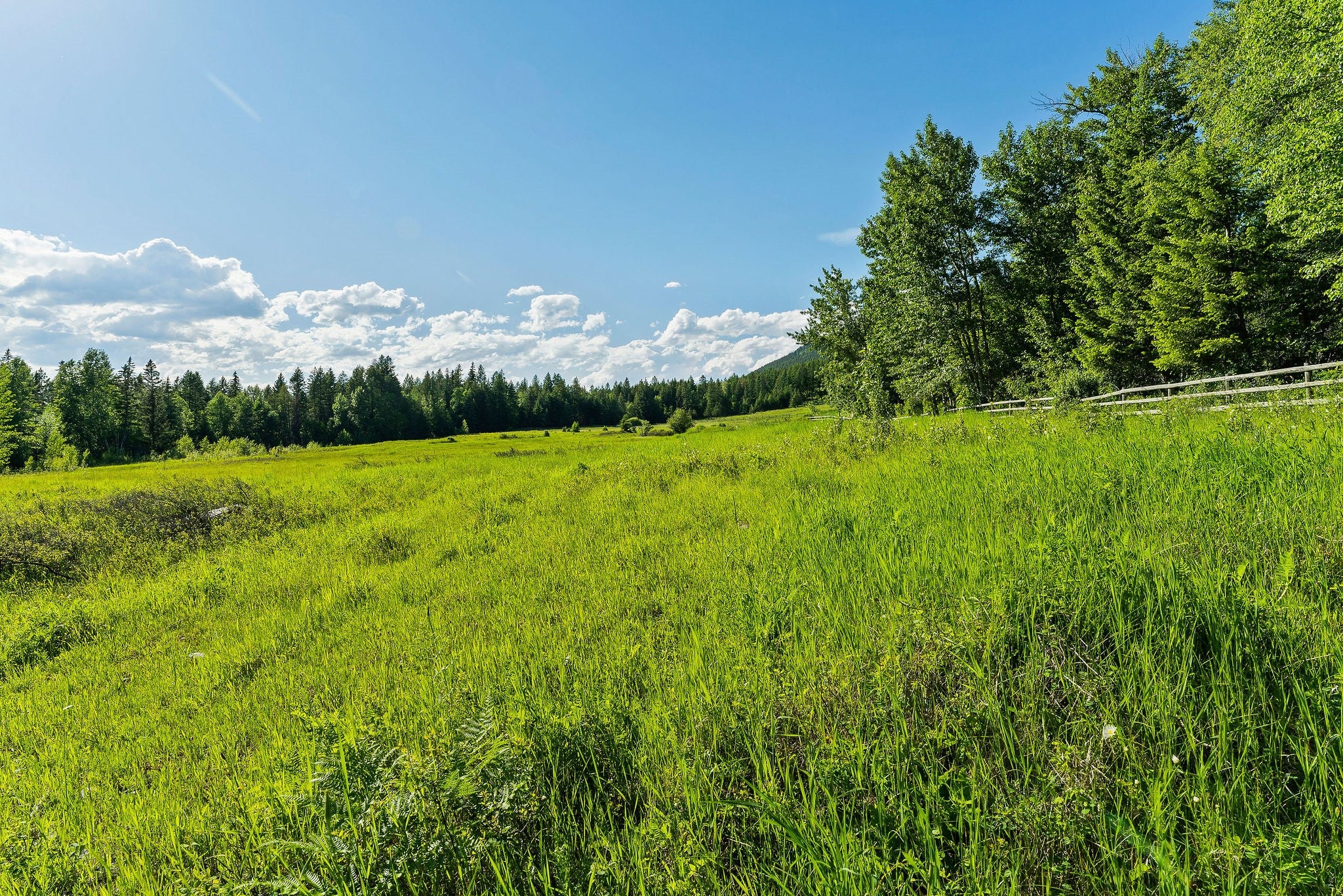 Whitefish, Montana, 59937, United States, ,9 BathroomsBathrooms,Residential,Active,1769536