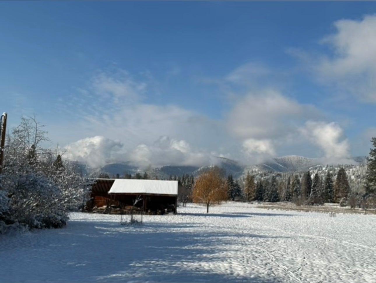 Libby, Montana, 59923, United States, 3 Bedrooms Bedrooms, ,2 BathroomsBathrooms,Residential,Active,1945847