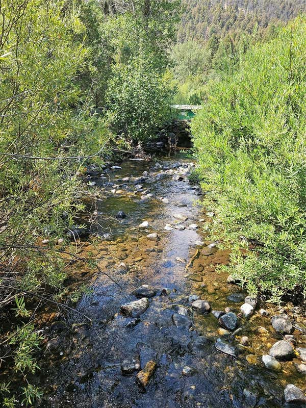 NHN JERRY CREEK ROAD, WISE RIVER, MT 59762, photo 1 of 27