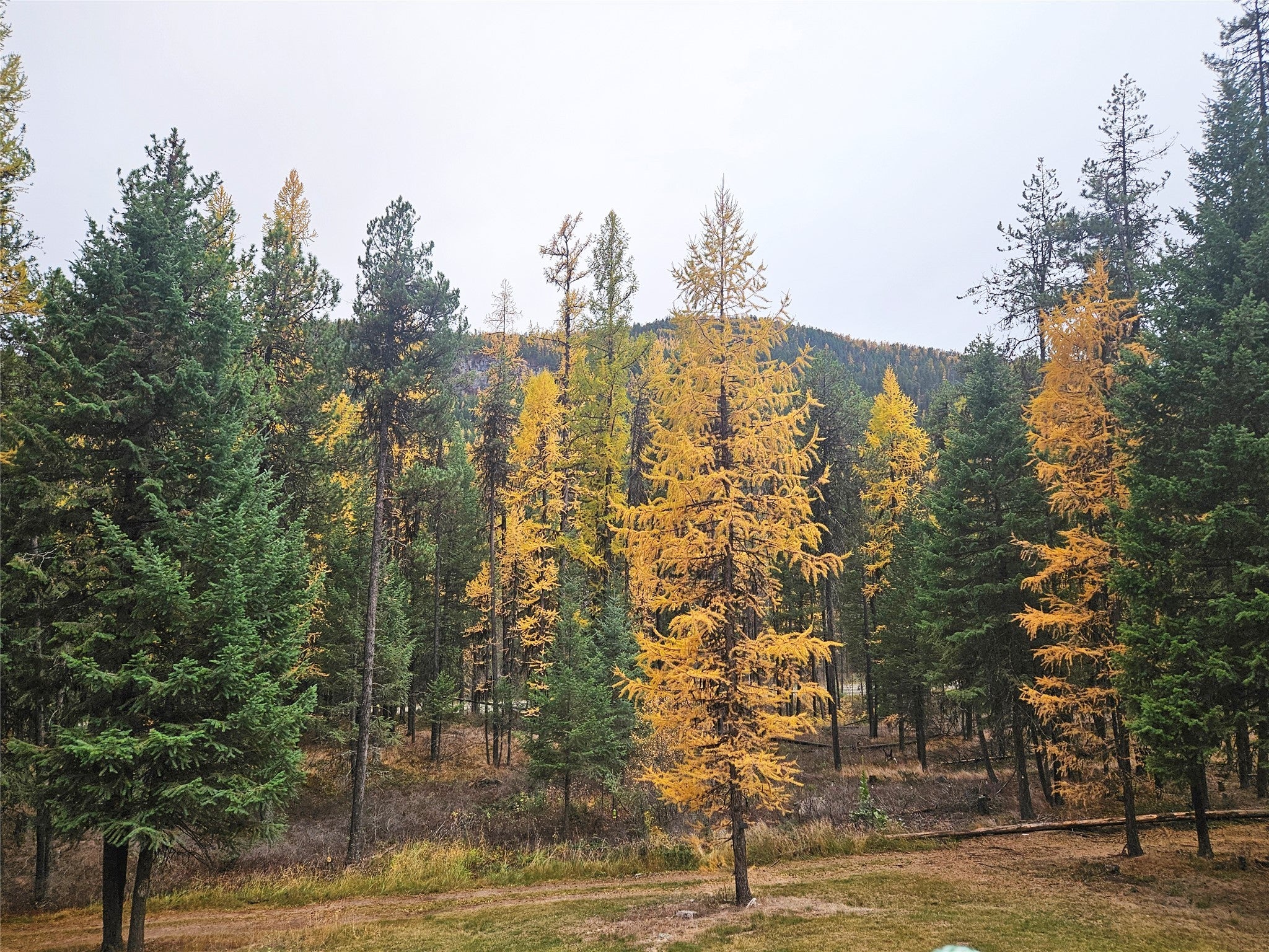 Whitefish, Montana, 59937, United States, 4 Bedrooms Bedrooms, ,3 BathroomsBathrooms,Residential,Active,1889340