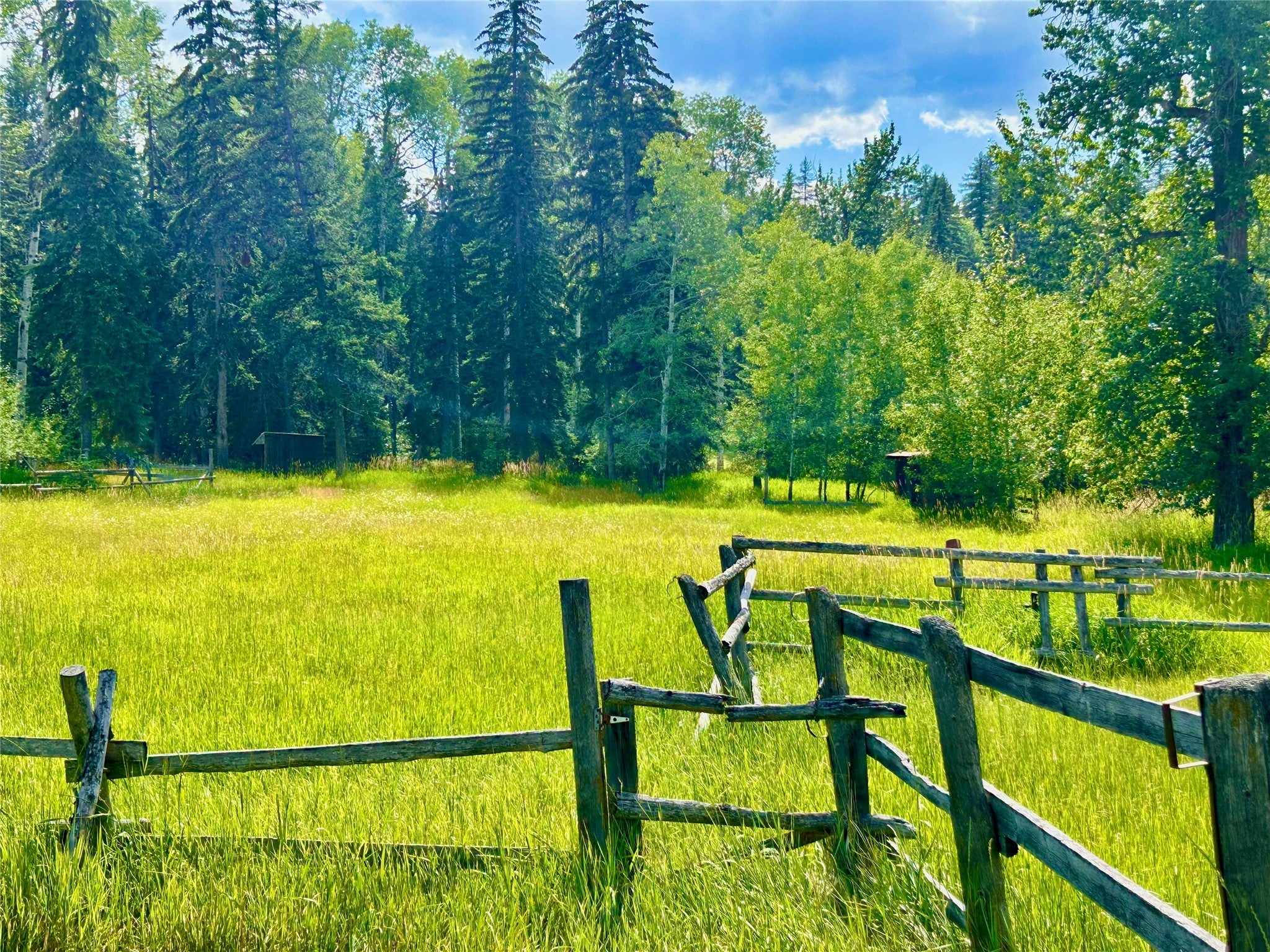 Whitefish, Montana, 59937, United States, 1 Bedroom Bedrooms, ,Residential,Active,1801048
