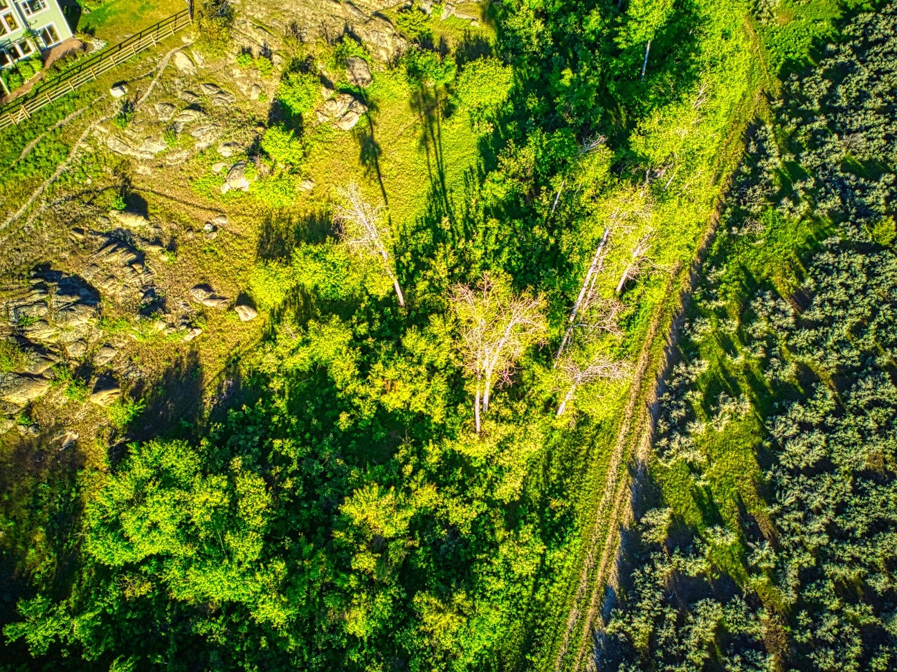 Corvallis, Montana, 59828, United States, 4 Bedrooms Bedrooms, ,4 BathroomsBathrooms,Residential,Active,1863486