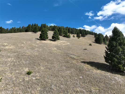 TBD SCRANTON LODE LOT 2 MS 3667 ROAD, PHILIPSBURG, MT 59858, photo 4 of 6