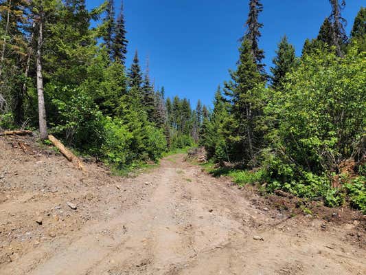 NHN W ASHBY CREEK ROAD, BONNER, MT 59823, photo 5 of 67