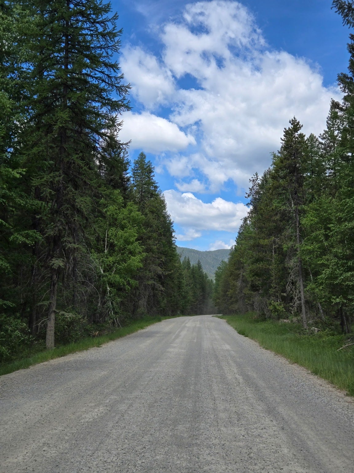 Whitefish, Montana, 59937, United States, 4 Bedrooms Bedrooms, ,3 BathroomsBathrooms,Residential,Active,1889340