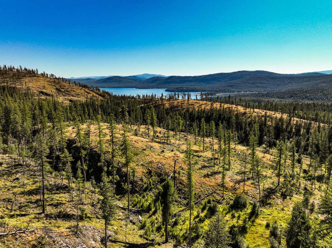 NHN GRIFFIN CREEK ROAD, MARION, MT 59925, photo 1 of 36